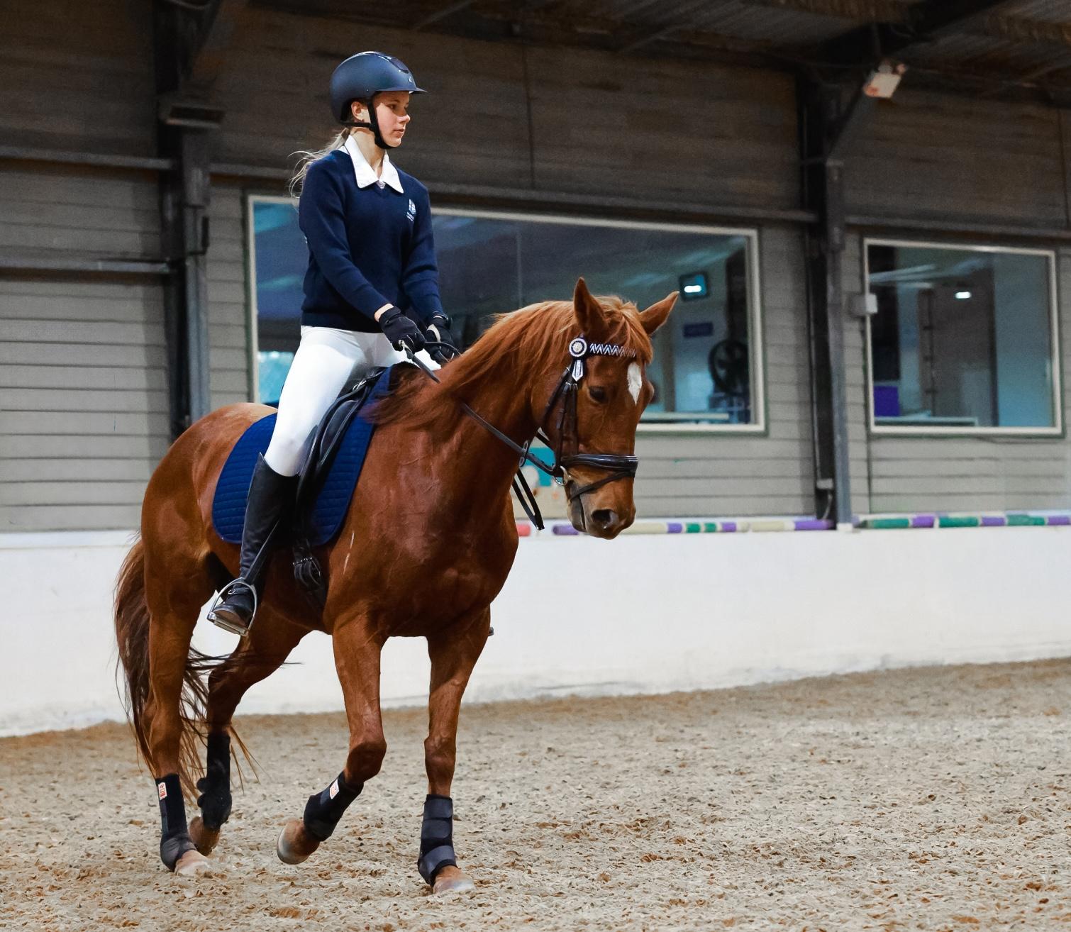 A Medowie Christian School student on a horse practicing equestrian skills